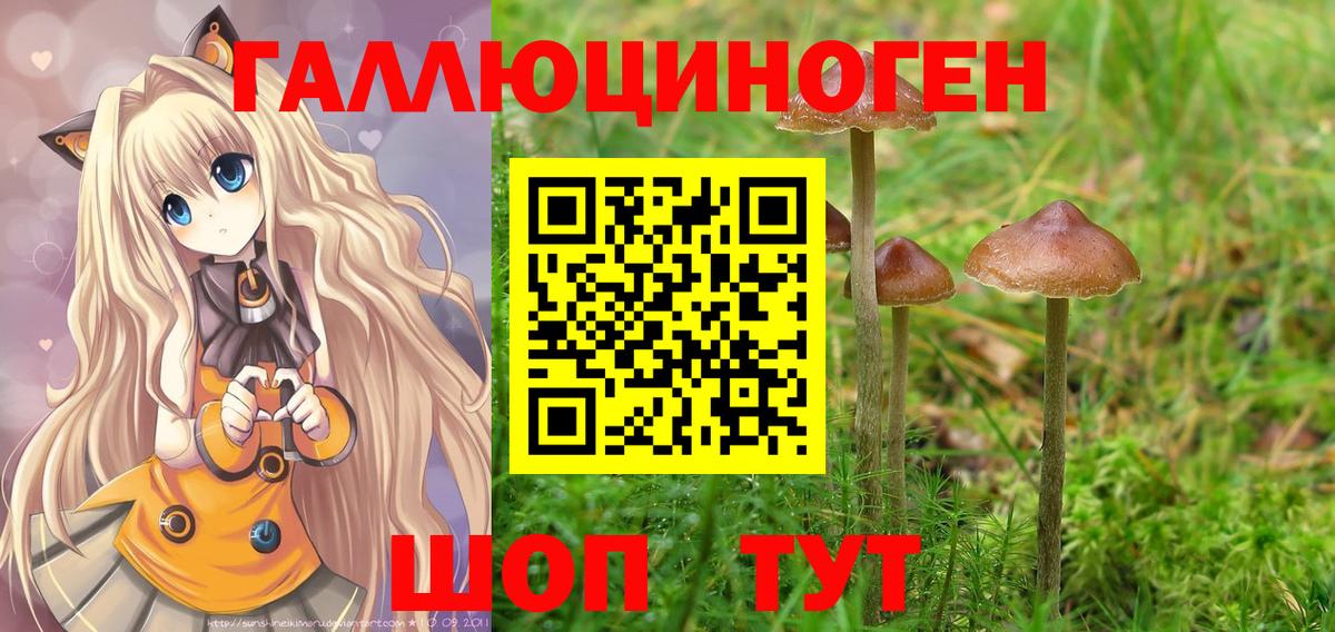 Владимир  Псилоцибиновые грибы GOLDEN TEACHER  Галлюциногенные грибы мицелий  Вход с VPN 