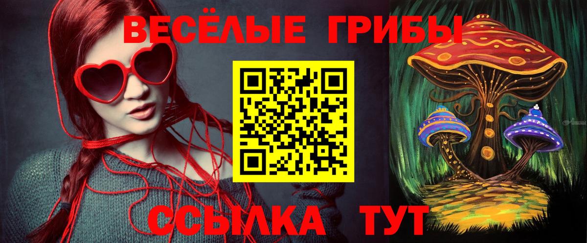 Псилоцибиновые грибы Psilocybine cubensis Владимир